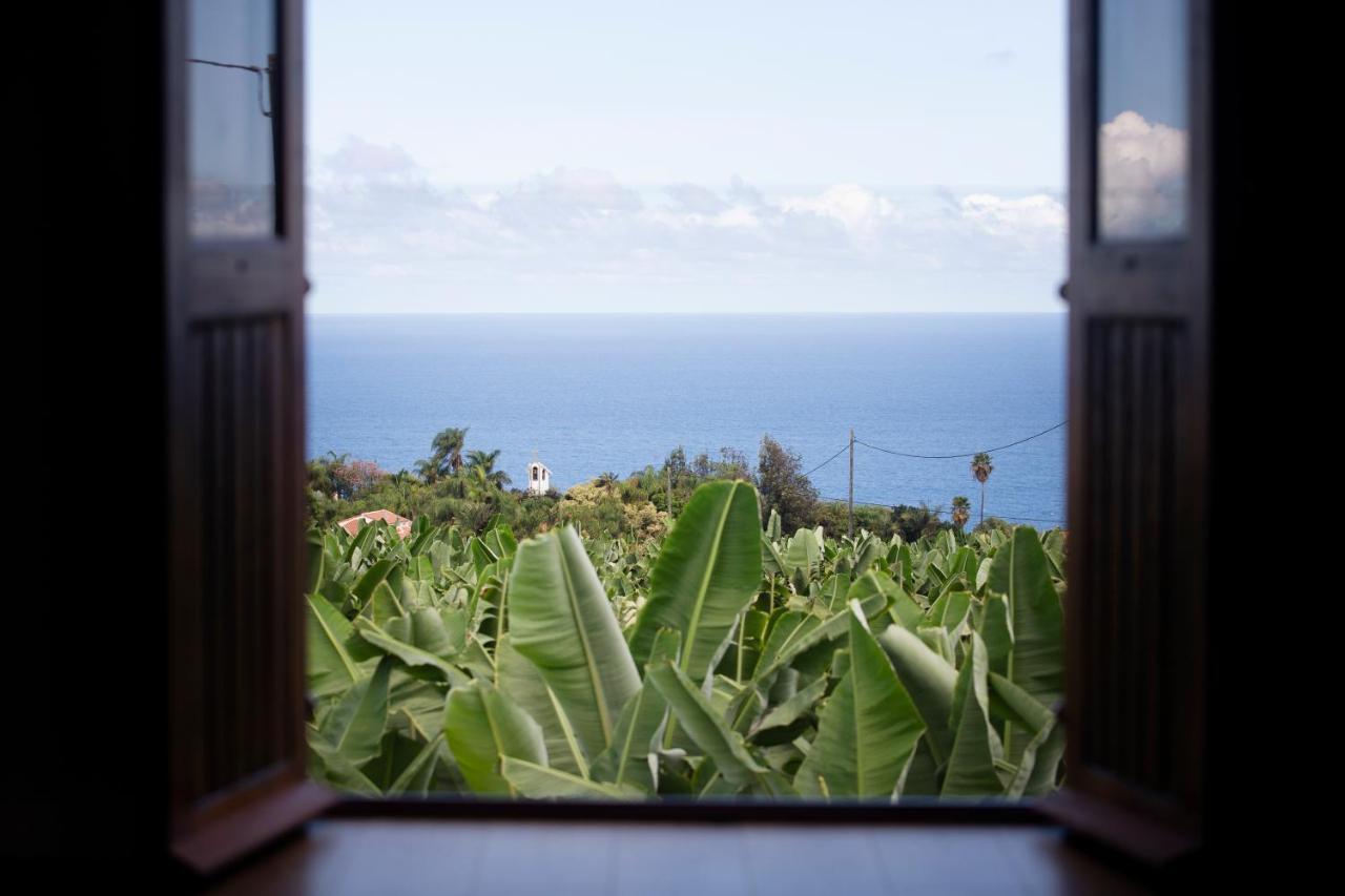 Hacienda Los Orovales Puerto de la Cruz  Luaran gambar