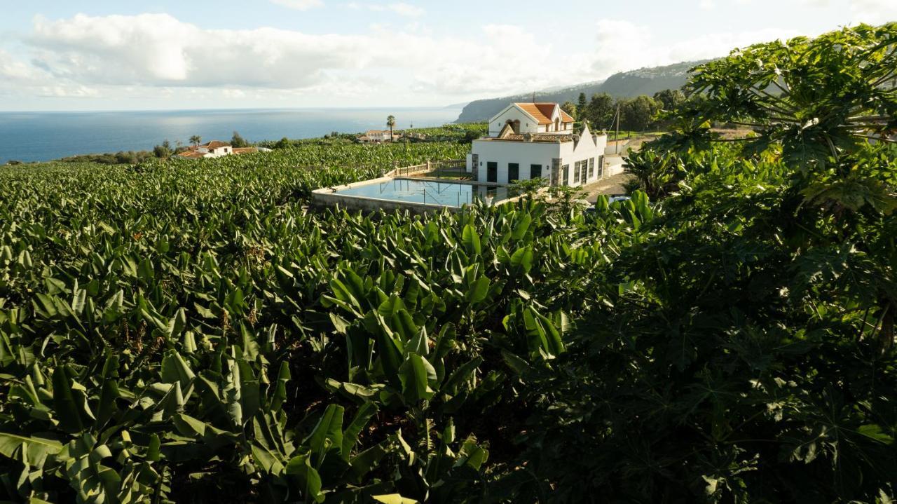 Hacienda Los Orovales Puerto de la Cruz  Luaran gambar