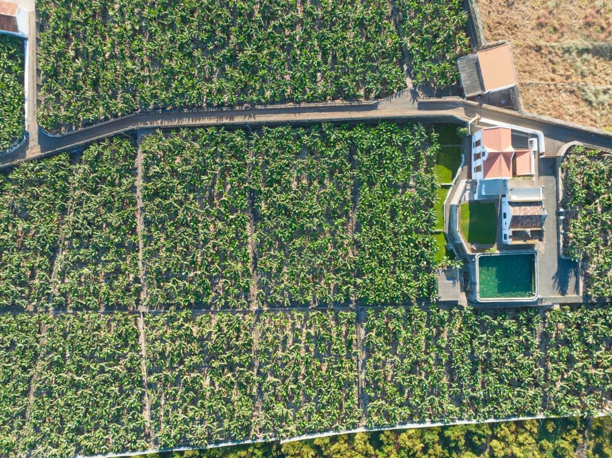 Hacienda Los Orovales Puerto de la Cruz  Luaran gambar