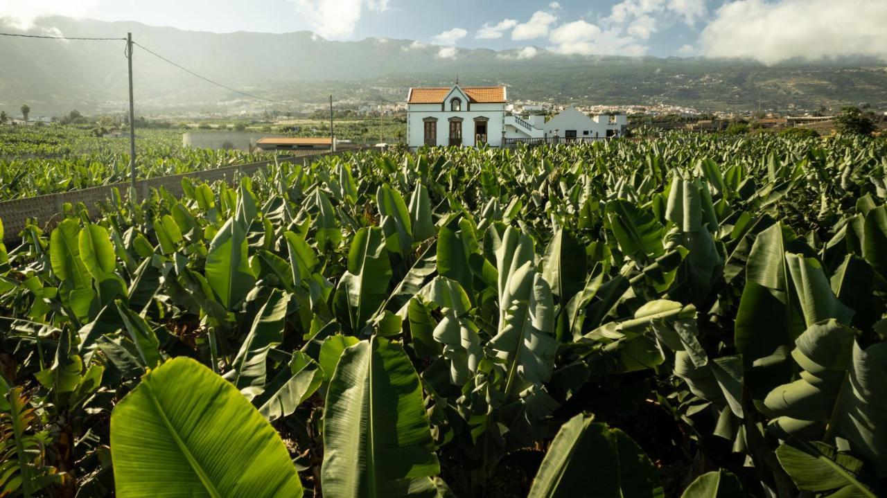 Hacienda Los Orovales Puerto de la Cruz  Luaran gambar