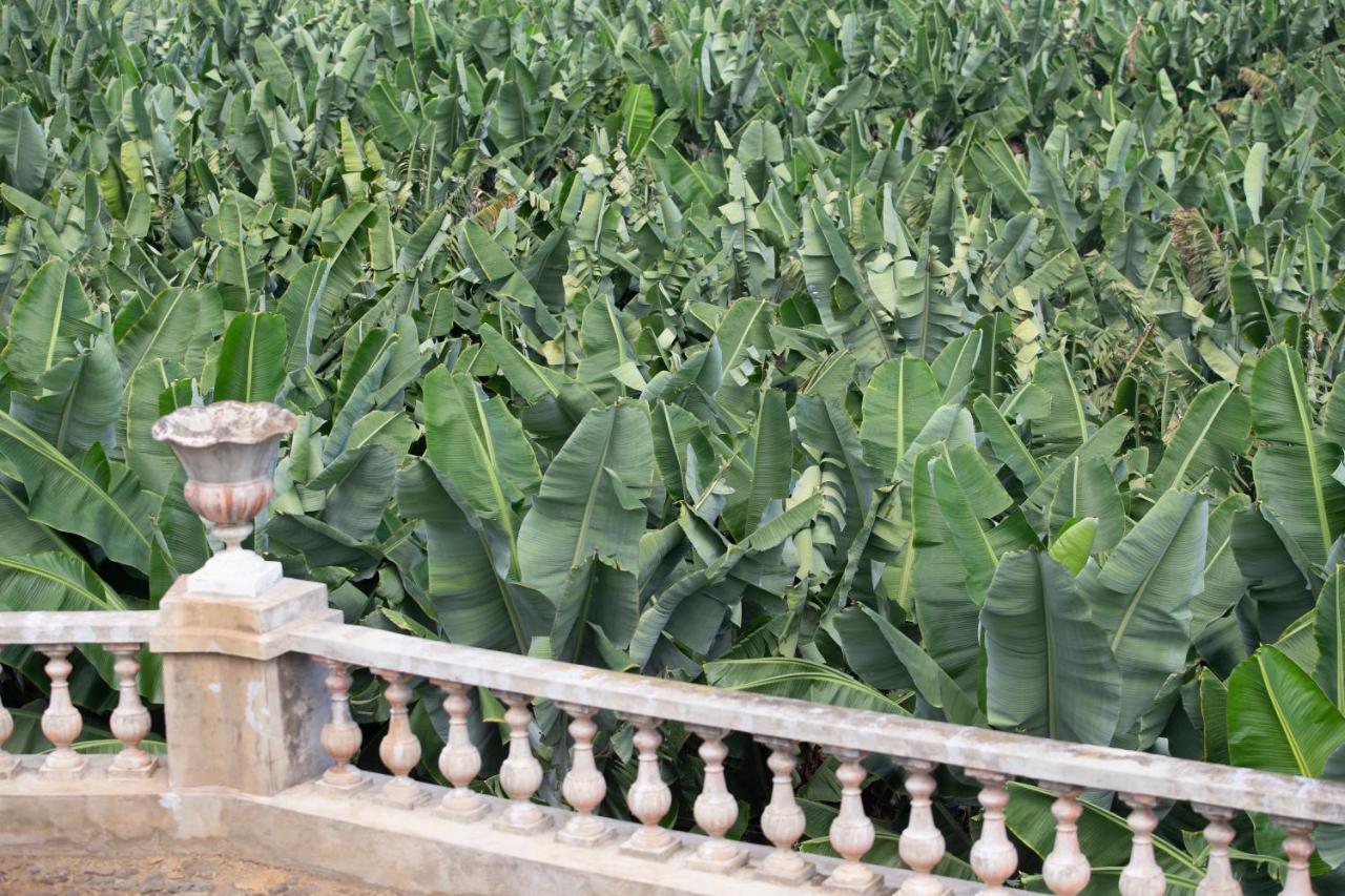 Hacienda Los Orovales Puerto de la Cruz  Luaran gambar